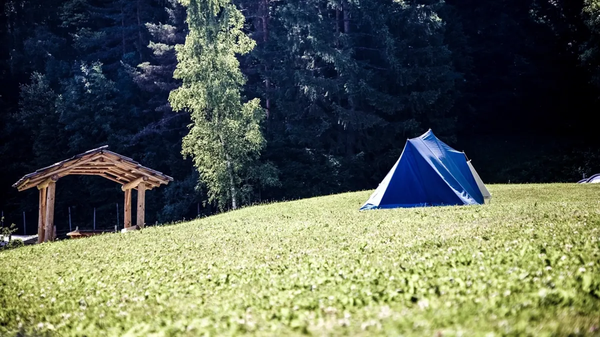 Blauwe tent op een glooiend grasveld bij een naaldbos, zoals een kampeerplek op een boerencamping
