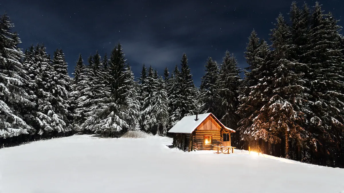 Verlicht houten vakantiehuisje in een besneeuwd dennenbos, verhuurd in de natuur